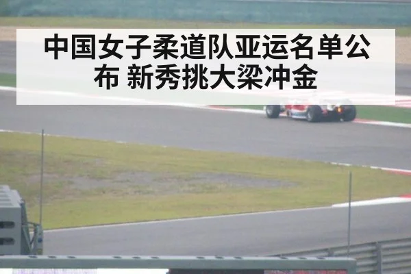 中国女子柔道队亚运名单公布 新秀挑大梁冲金